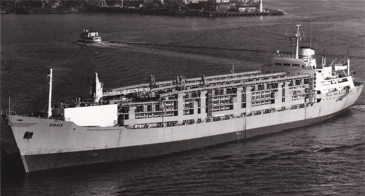 Cargoul „Sinaia“, după reconversie. 