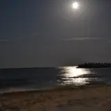 Plaja Venus - panoramio
