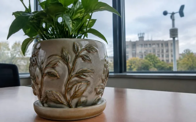 Ghiveci decorativ pentru plante ANM