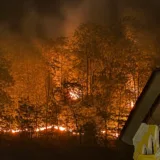 Incendiu de pădure în apropierea locuințelor