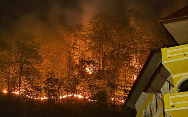 Incendiu de pădure în apropierea locuințelor