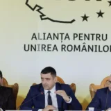 Reprezentanți ai unei formațiuni politice